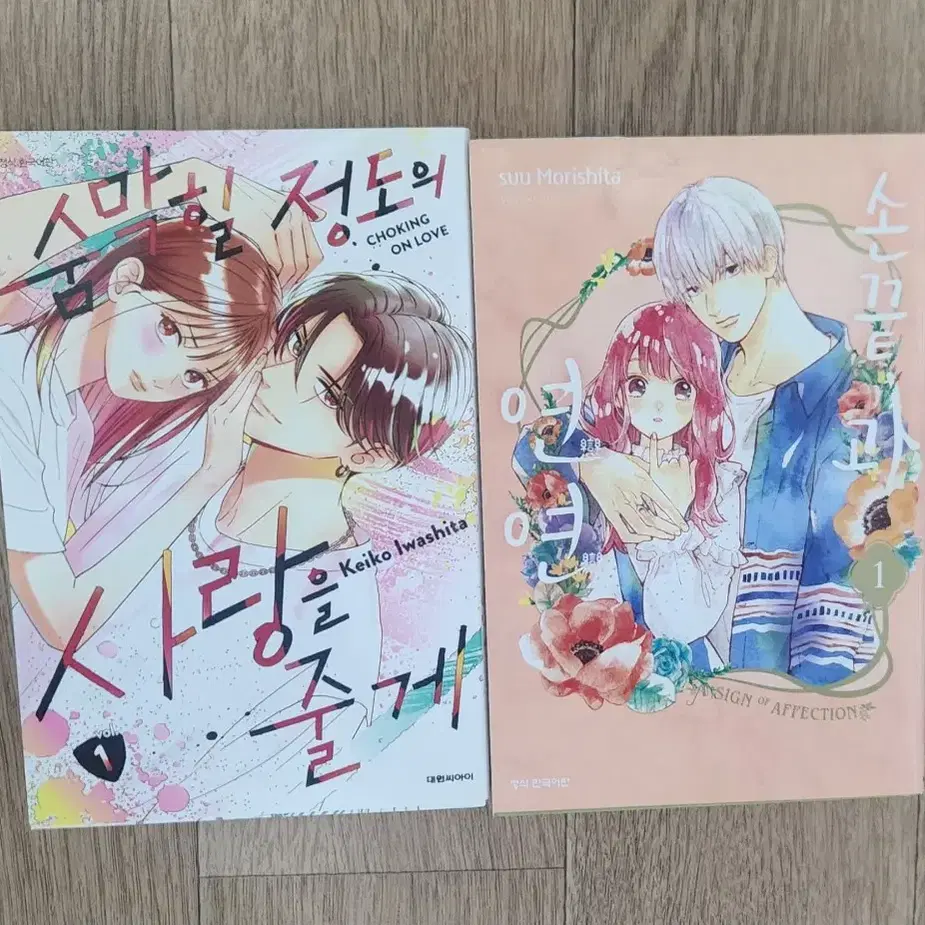 I'll Give You a Breathtaking Love, Japanese Manga