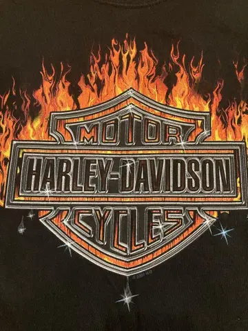00s Harley-Davidson 파이어 프레임 USA