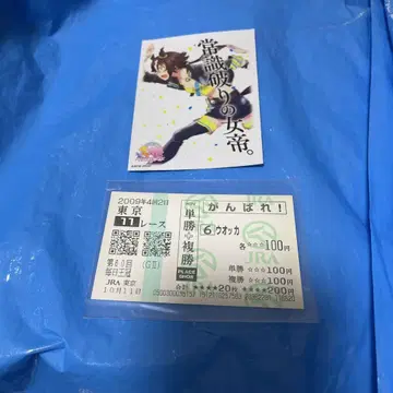 보드카 마이니치 왕관