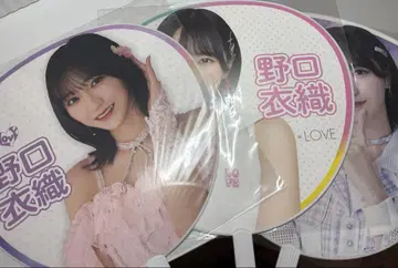 노구치 이오리 부채 묶음 판매