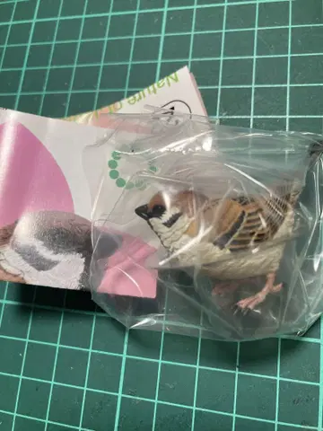 Nature of Japan 일본의 생물 vol.03 참새
