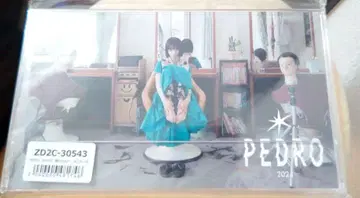 PEDRO 발길 닿는 대로, 내키는 대로 2024년 탁상 달력