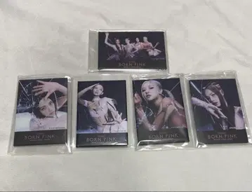 BLACKPINK BORNPINK 캔뱃지 컴플리트