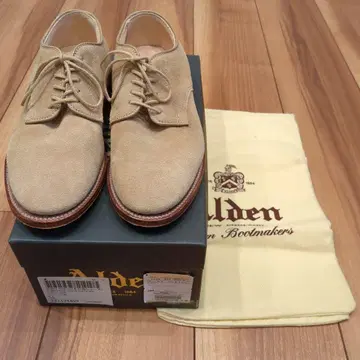 Alden P-Toe Suede 쉽스 별주 베이지 6.5