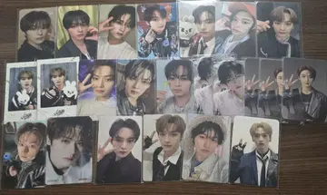 straykids 스키즈 리노