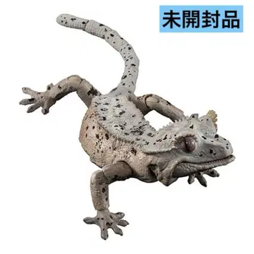 생물대도감 어드밴스 크레스티드 게코 가챠 달마시안