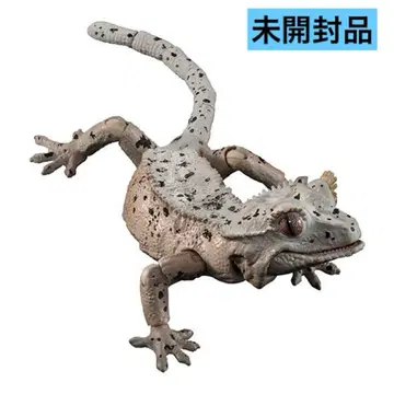 생물대도감 어드밴스 크레스티드 게코 가챠 달마시안