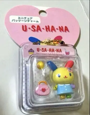 산리오 미니어처 패키지 참 U SA HA NA