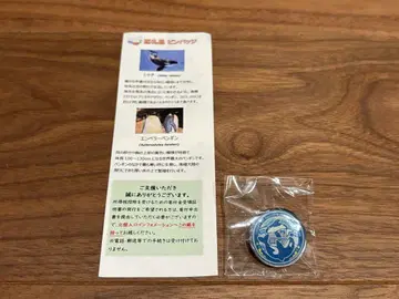 나고야항 수족관 수족관 de 휙 기부 가챠 핀 배지 범고래 & 북관