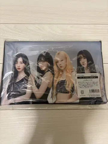 aespa 2024 슬로건 타월 도쿄 돔 공연