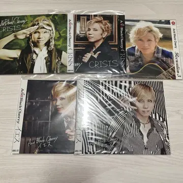 Acid Black Cherry 어나더 자켓 모음