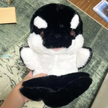 범고래 하이! 아쿠아땅 봉제 인형 미사용 새상품 쉘 바다 생물 수족관