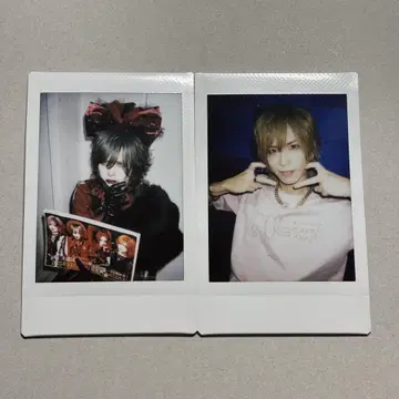 Royz 폴라로이드 님 님