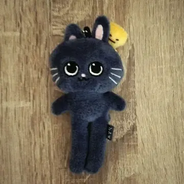 RIIZE 원빈 롱 키링