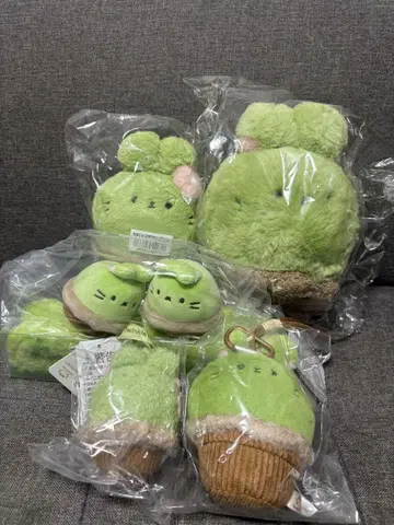 러브 앤 딥스페이스 MINISO Twinkle Fair 다육 토끼