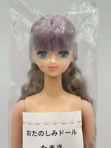 타마키 연보라 실버 오타노시미 인형 리카짱 캐슬 리틀 팩토리