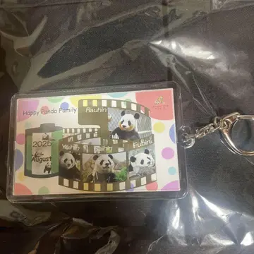 어드벤처 월드 팬더 한정판 키링 패밀리