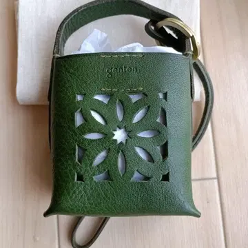 겐텐 컷 아웃 참 그린