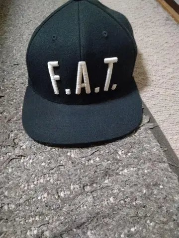 FAT 캡