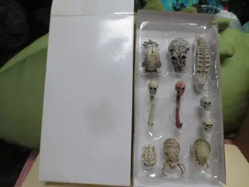 NECA 네카 프레데터 액세서리 피규어 해골 세트