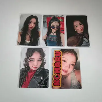 하나 트레이딩 카드 코하루