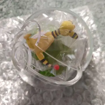 포켓몬 테라리움 컬렉션 5 덴류