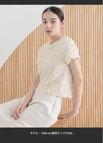 셔링 SS 325104