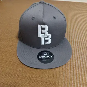 배스 브리게이드 캡