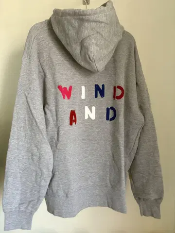 이케우치 히로유키 씨 착용 WINDANDSEA 그레이 후드티