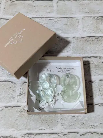sAn Lian Pierce 민트 아크릴 액세서리 귀걸이