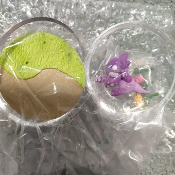 포켓몬 테라리움 컬렉션 EX 가라르지방 에레즌