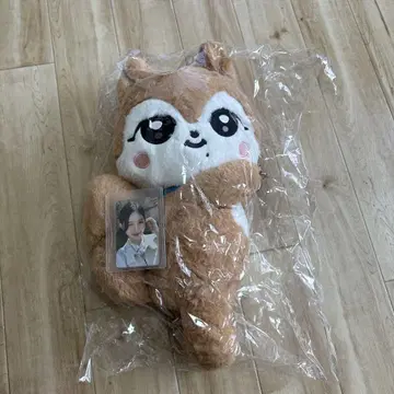 IVE 가을 minive 허그 백 트레이딩 카드 포함
