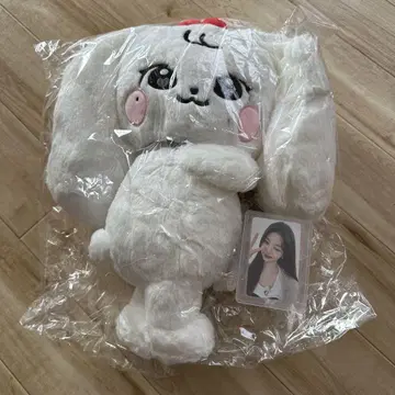 IVE 원영 minive 허그백 포토 카드 포함