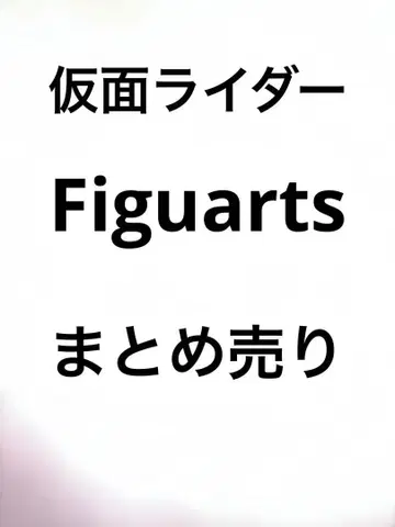 가면라이더 Figuarts 묶음 판매 낱개 판매