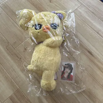 IVE 레이 minive 허그백 트레이딩 카드 포함
