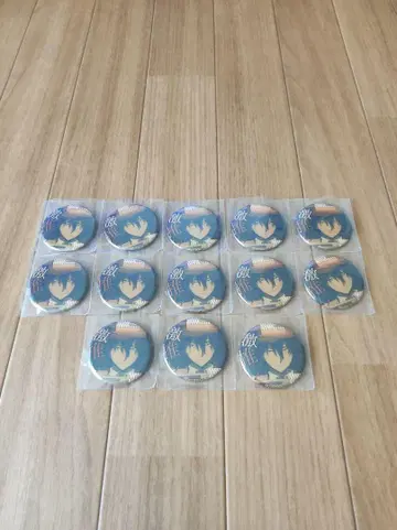 문호 스트레이독스 문스토 격추천 캔뱃지 에도가와 란포 13개