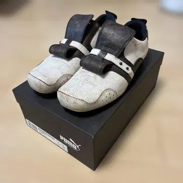 Puma 드레스 신발 화이트/브라운