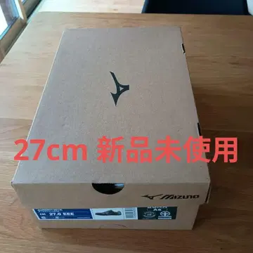 미즈노 안전화