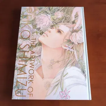THE ARTWORK OF REIKO SHIMIZU