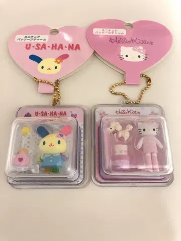 산리오 미니어처 패키지 참 다리 긴 키티 우사하나