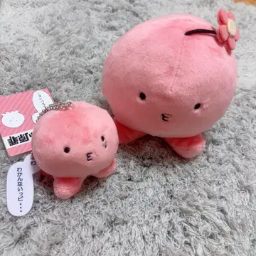 타코피의 현재 봉제인형 마스코트 꽃 핀, 모르겠어피, 마리나, 시즈카