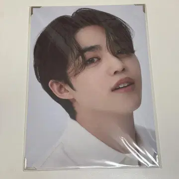 [ SEVENTEEN ] CARAT LAND 프리미엄 포토 에스쿱스