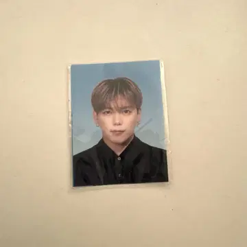 BALLISTIK BOYZ 카노 요시유키 IMPACT 가챠 증명사진풍