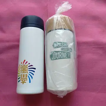 아라시 포트