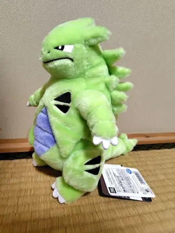 포켓몬 마기라스 봉제인형 포켓몬센터 완판템