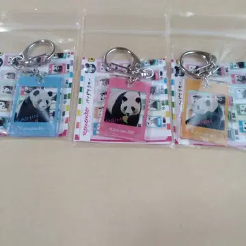 어드벤처 월드 팬더 아크릴 키링 가챠 3세트