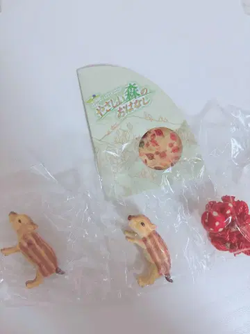 리멘트 상냥한 숲의 이야기 아기멧돼지가 찾았어요