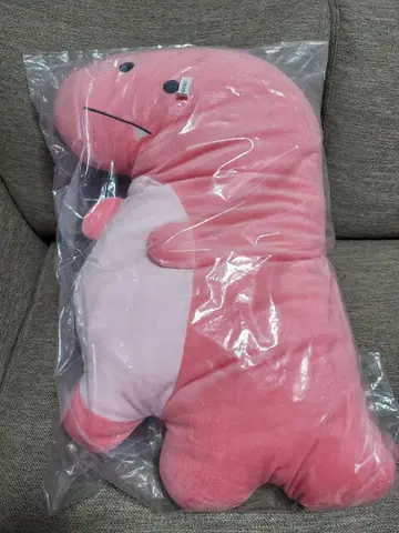 초롱초롱한 눈망울의 공룡원 모찌후와 빅 봉제 인형 티라노사우루스