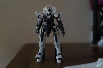 HG 건담 슈바르제테 조립품 정크