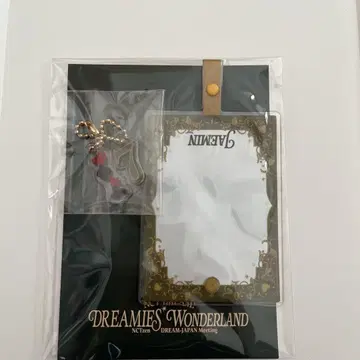 NCT DREAM Wonderland 팬미 재민 폰탭